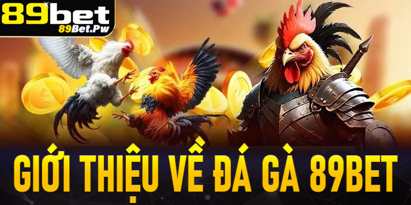 Giới thiệu chung về sân chơi cá cược đá gà 89Bet
