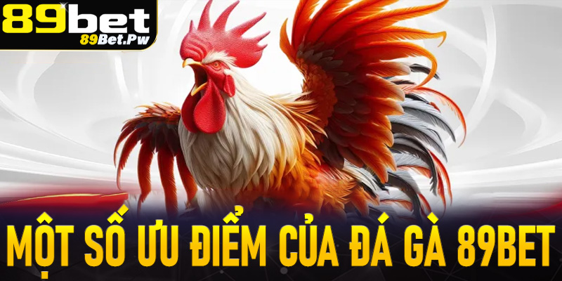 Một số ưu điểm nổi bật chính của đấu trường cá cược đá gà 89Bet